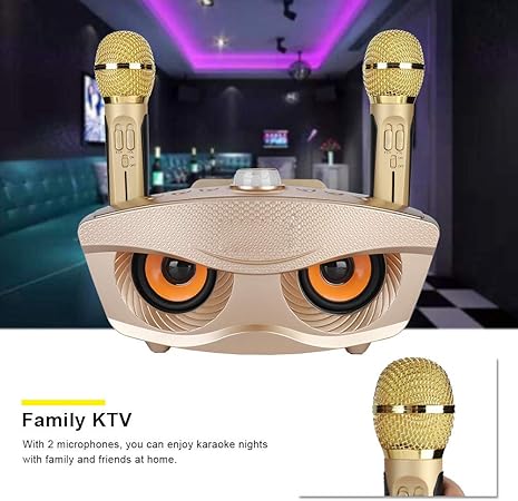 Dual Wireless Microphone Bluetooth Speaker Set