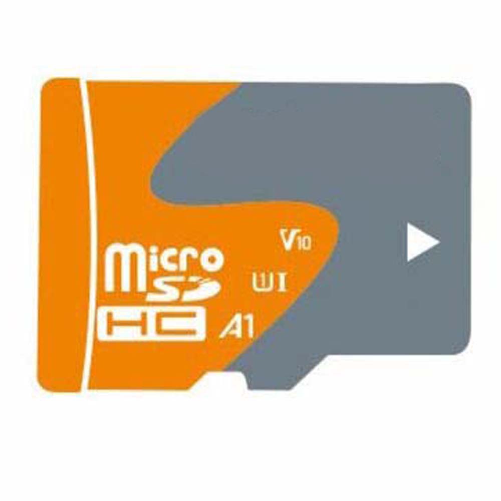 V102 4GB MicroSD Memory Card