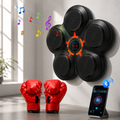 Music Boxing Machine