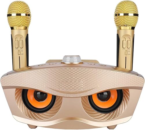 Dual Wireless Microphone Bluetooth Speaker Set