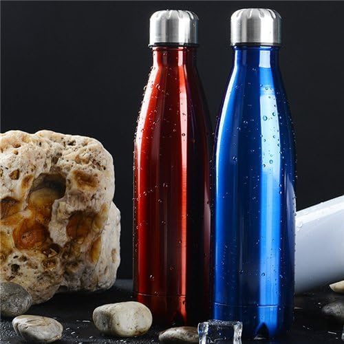Stainless Steel Double Wall Cola Water Bottle