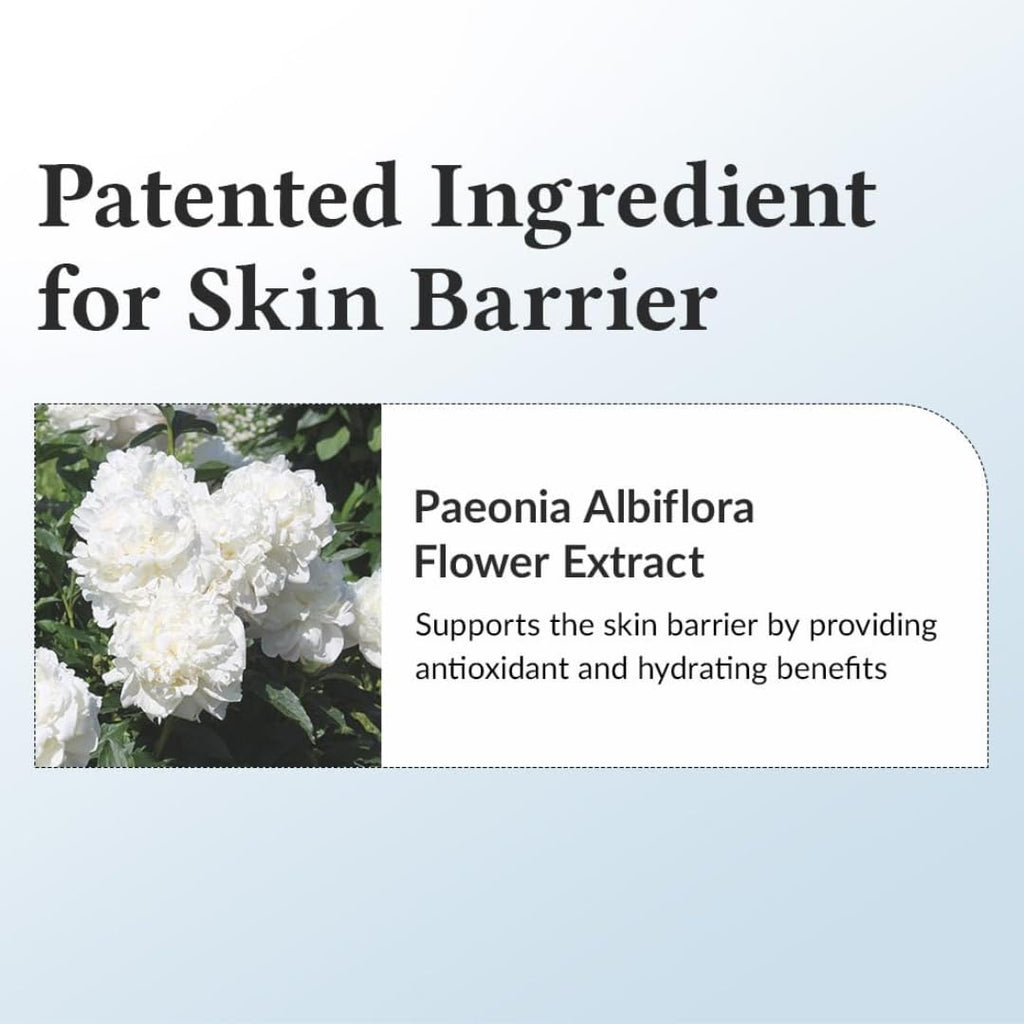 147 Antioxidant Cream