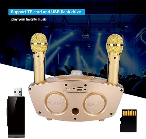 Dual Wireless Microphone Bluetooth Speaker Set