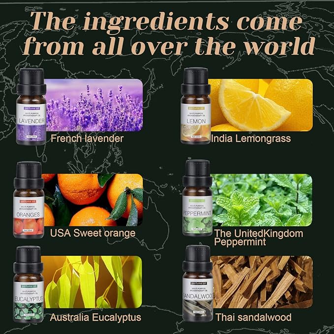 6-Pack Essential Oils Set - 10mL Bottles
