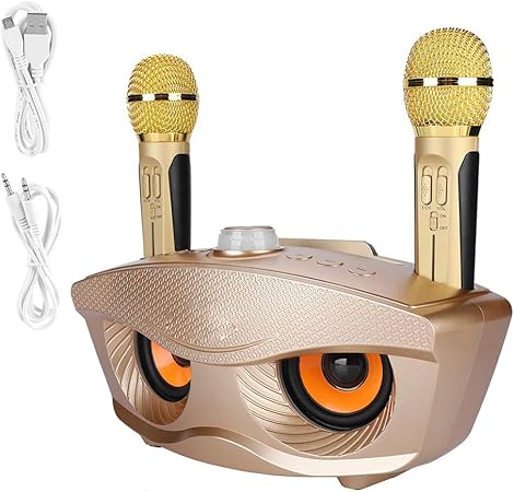 Dual Wireless Microphone Bluetooth Speaker Set