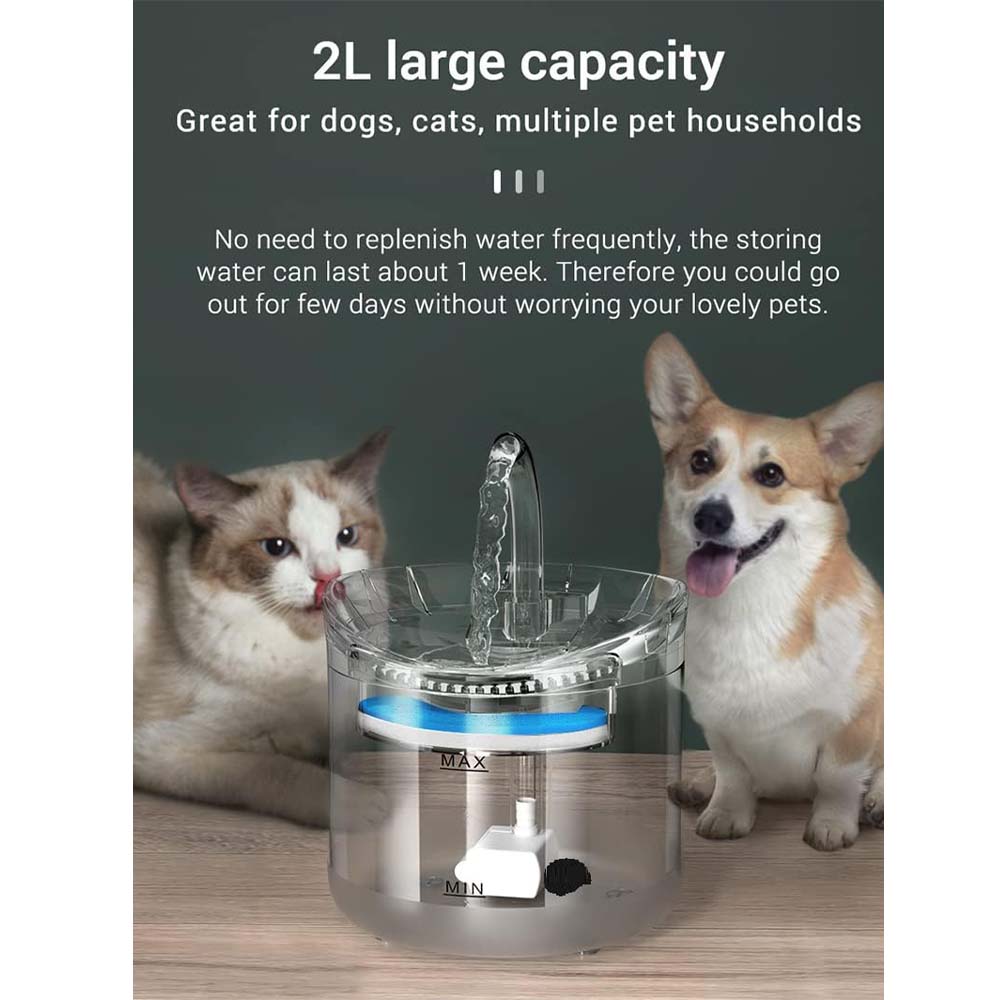 Pet Water Fountain Automatic Cat & Dog