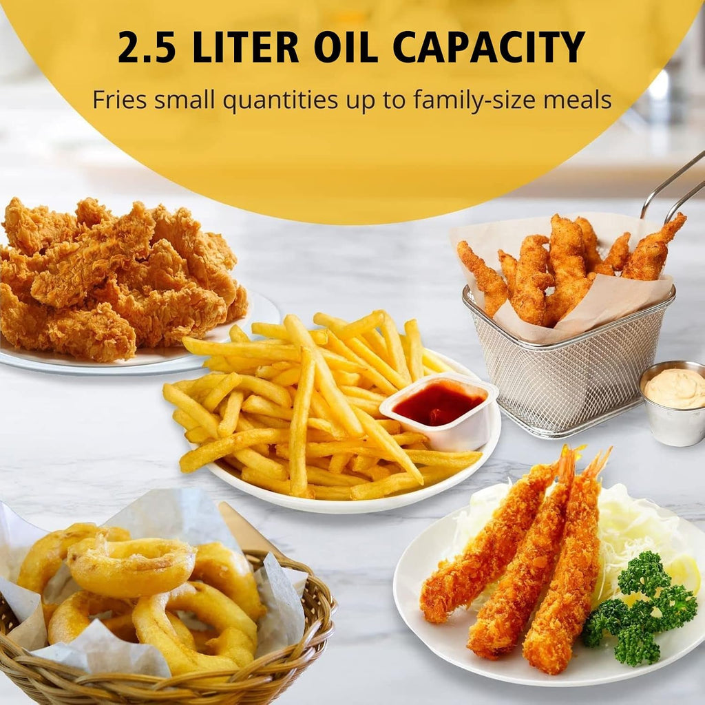 2.5L Electric Deep Fryer with Stainless Steel Body
