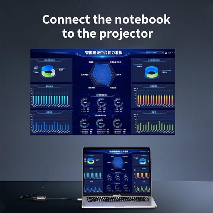 Portable Mini Projector