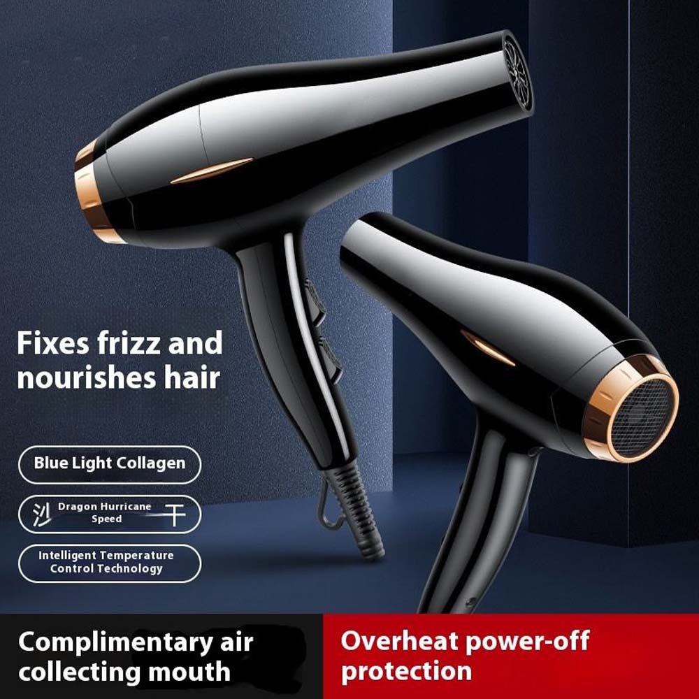 NUSHI NS-2203 Professional Hair Dryer