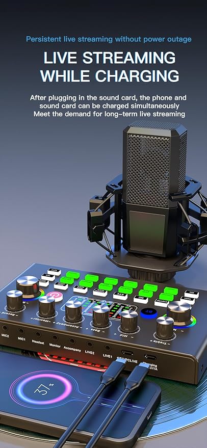 F009 Professional Live Sound Card