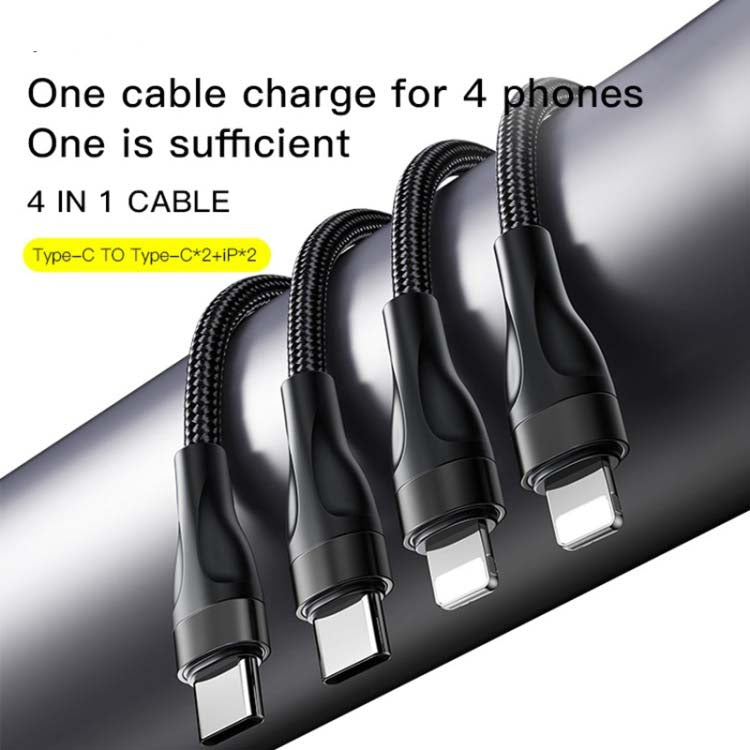CA110 4-in-1 Type-C Data Cable