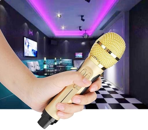 Dual Wireless Microphone Bluetooth Speaker Set