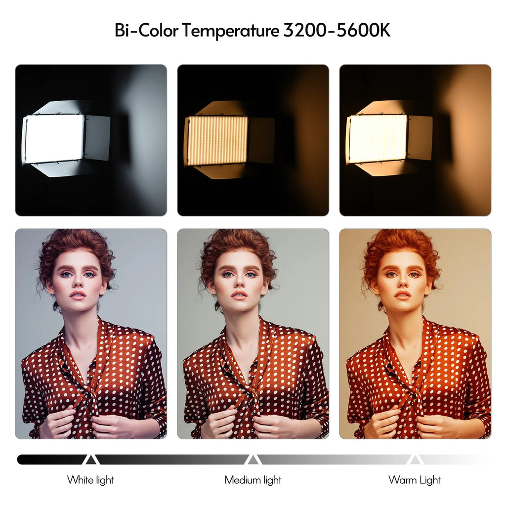 LED-800 LED Video Light