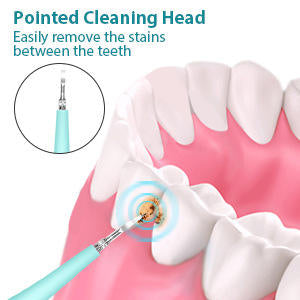 Electric Dental Calculus Remover