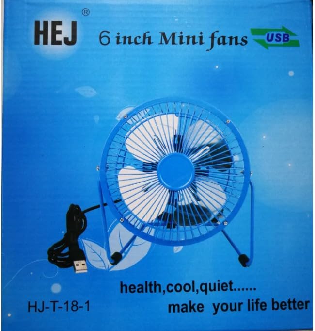 Portable Fan