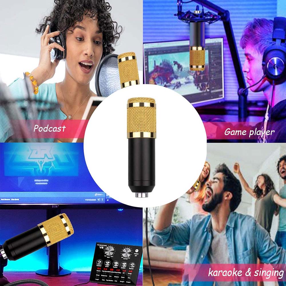 Professional USB Microphone Bundle