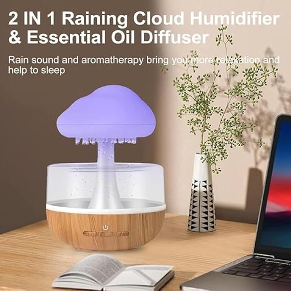 Rain Cloud Humidifier