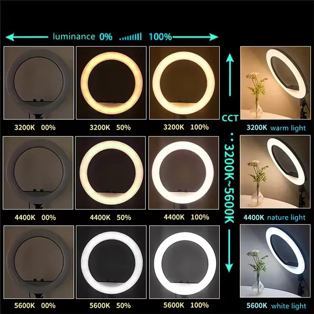 14-Inch Selfie Ring Light with Tripod Stand