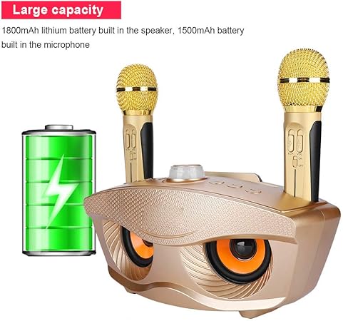 Dual Wireless Microphone Bluetooth Speaker Set