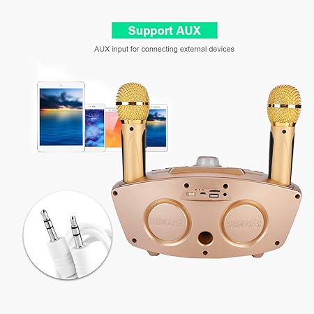 Dual Wireless Microphone Bluetooth Speaker Set