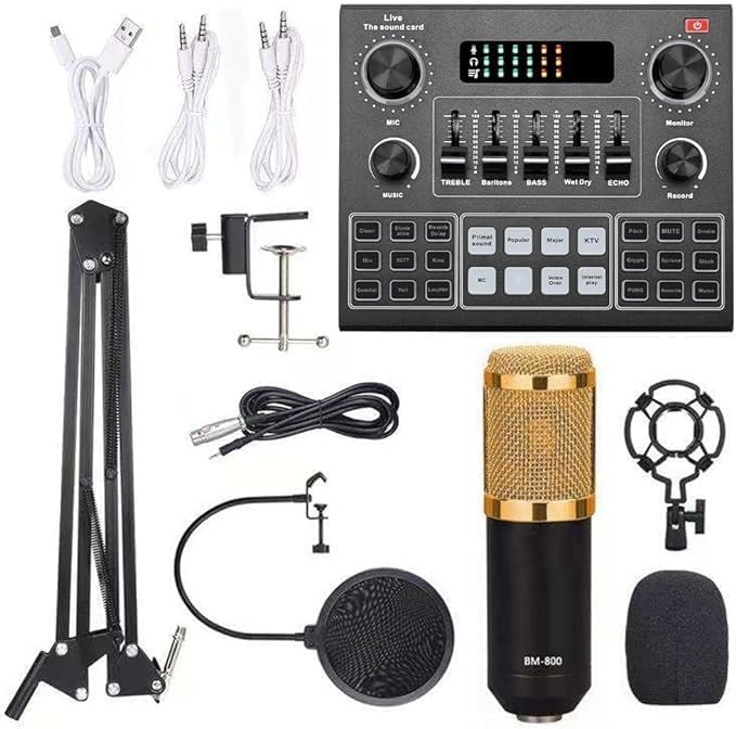 Elite V9 Sound Card & BM800 Pro Microphone