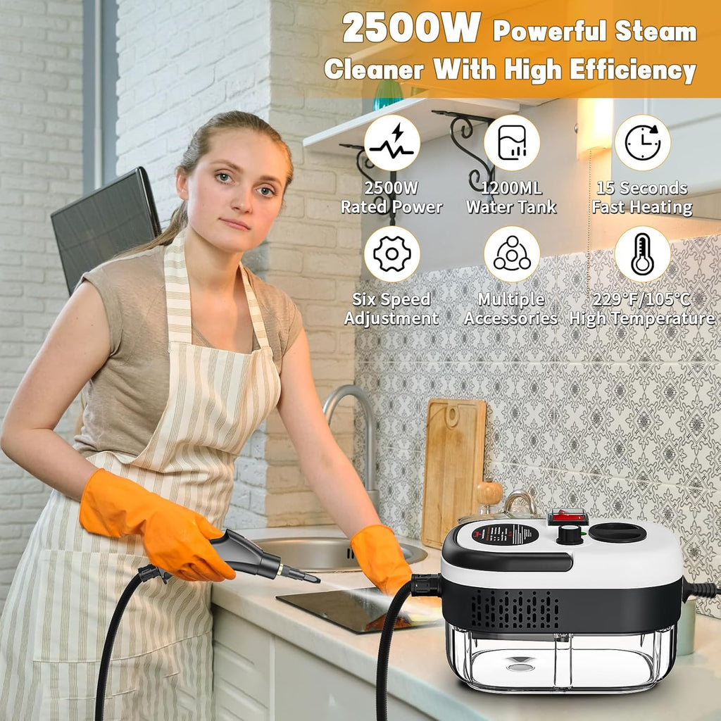High Pressure Handheld Steam Cleaner